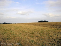 Fox Covert NW - PID:33267