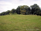 Click for full size image of Lugbury (PID:33261) Lugbury
