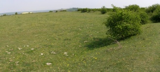 Chiselbury - PID:29728