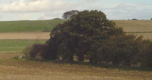 Avebury Down barrow cemetery - PID:10369
