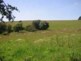 Click for full size image of Fyfield Down (PID:1500) Fyfield Down