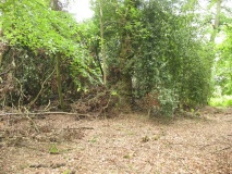 Buckwood Long Barrow - PID:90442