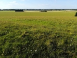 Click for full size image of Windmill Hill (Avebury) (PID:249692) Windmill Hill (Avebury)