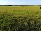 Windmill Hill (Avebury)