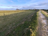 Click for full size image of Figsbury Rings (PID:271794) Figsbury Rings