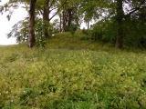 Click for full size image of East Kennett longbarrow (PID:156389) East Kennett longbarrow