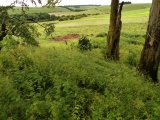 Click for full size image of East Kennett longbarrow (PID:156385) East Kennett longbarrow