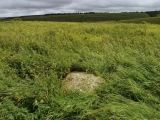 Click for full size image of Harestone Down (PID:156387) Harestone Down