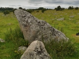 Click for full size image of The Toad Stone (PID:249626) The Toad Stone