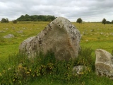 Click for full size image of The Toad Stone (PID:249624) The Toad Stone