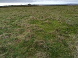 Click for full size image of Figsbury Rings (PID:271790) Figsbury Rings