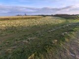 Click for full size image of Figsbury Rings (PID:271787) Figsbury Rings