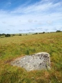 Click for full size image of Fyfield Down (Avebury) (PID:249691) Fyfield Down (Avebury)