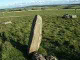 Click for full size image of Fyfield Down (PID:98390) Fyfield Down