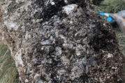 Click for full size image of Durrington Walls (PID:156491) Durrington Walls