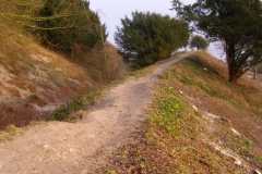 Old Sarum - PID:36845