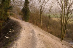 Old Sarum - PID:36847