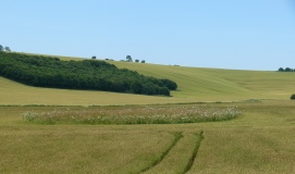 Liddington Wanborough - PID:91633