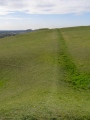 Click for full size image of Scratchbury Camp (PID:29761) Scratchbury Camp