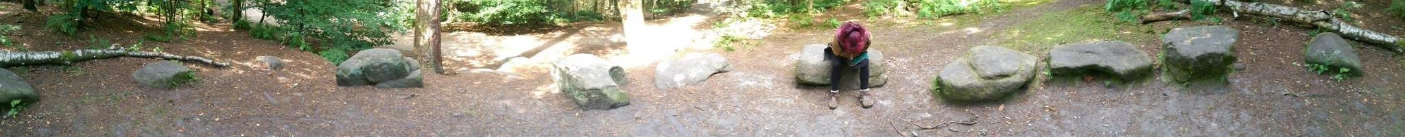 Click for full size image of Druidical Circle (PID:231127) Druidical Circle