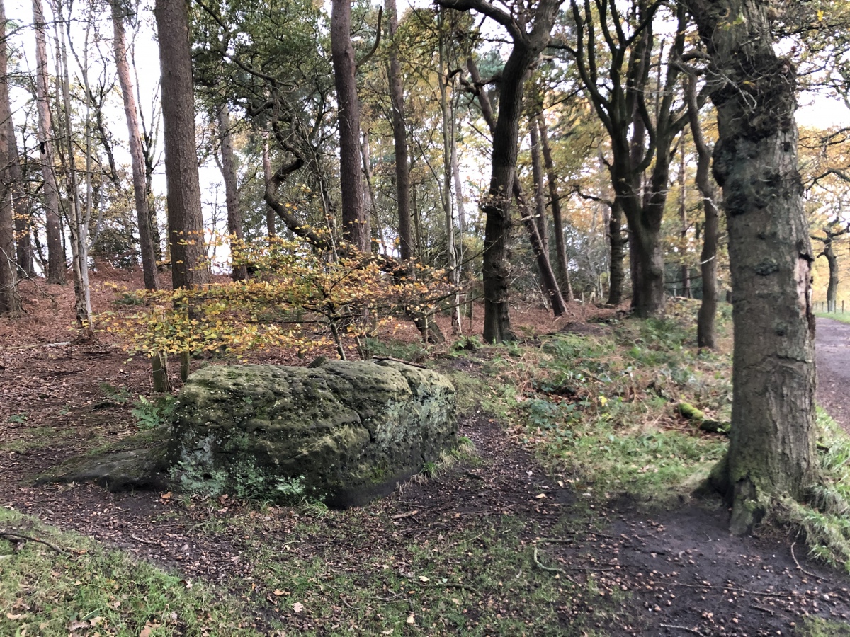 Golden Stone (Alderley Edge)