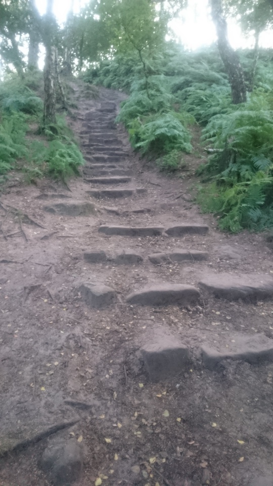 Maiden Castle (Cheshire)