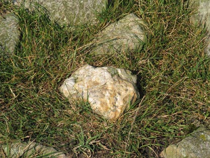 This quartz cobble, approximately 15x15x10cm, was found partially buried on the S side of the wall crossing the tumulus. It is considered unlikely to be native to the immediate area, within 15km,  and along with other smaller quartz pebbles seen on site, is thought to have been imported by the builders of the tumulus. 