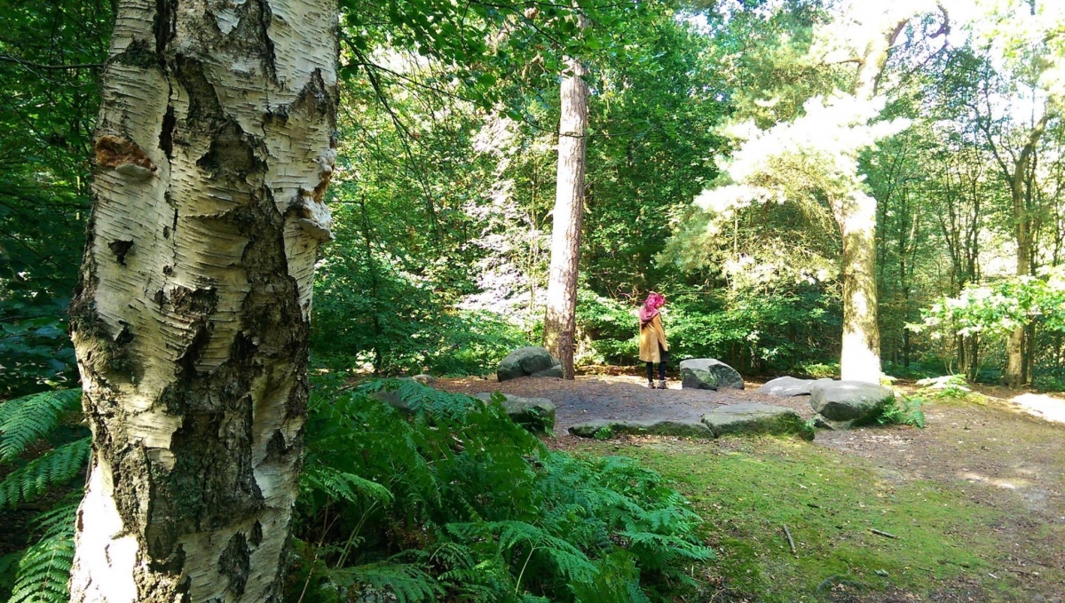 Click for full size image of Druidical Circle (PID:231126) Druidical Circle