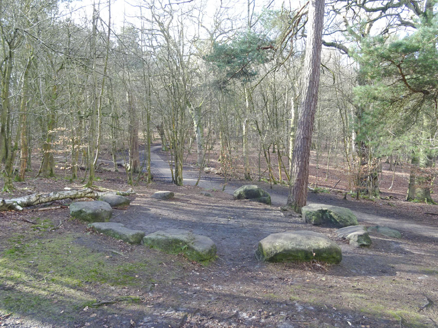 Druidical Circle (PID:145664) Druidical Circle