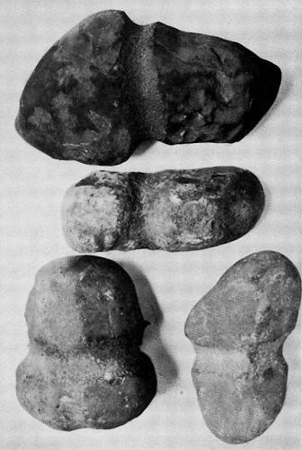 Grooved Hammer Stones found near the Engine Vein at Alderley Edge in 1874 from Shone’s ‘Prehistoric Man in Cheshire, 1911’.