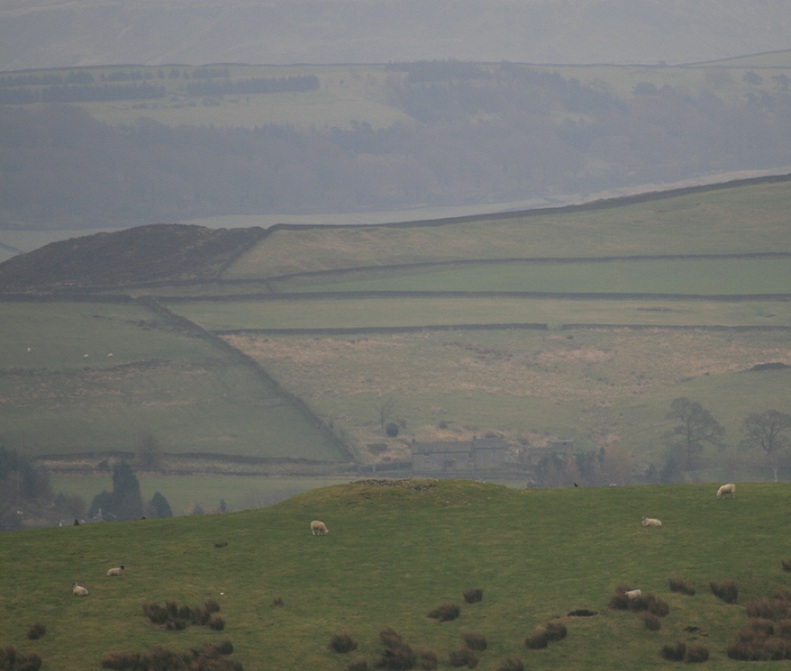Click for full size image of Reed Hill (PID:100763) Reed Hill