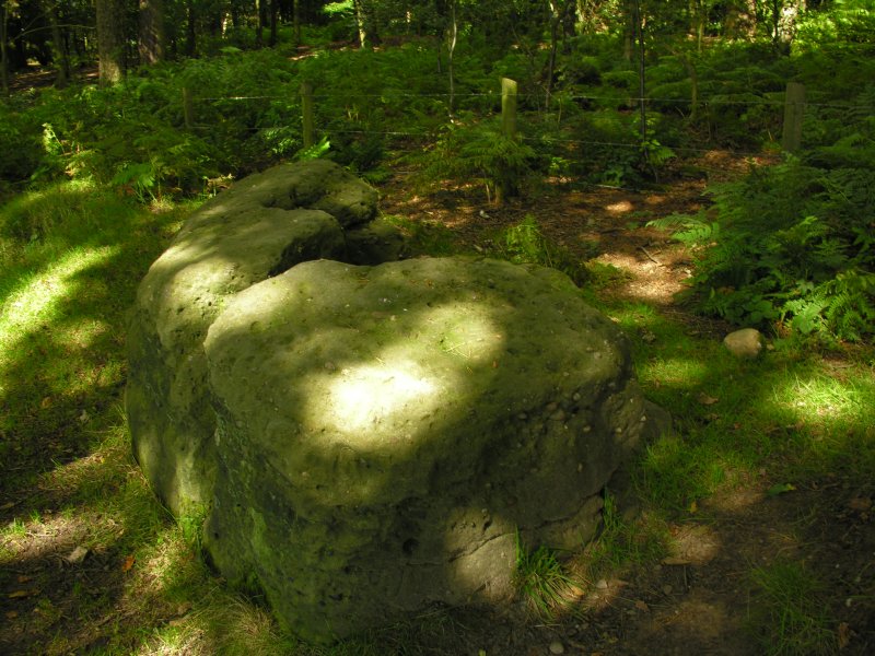 Golden Stone (Alderley Edge)