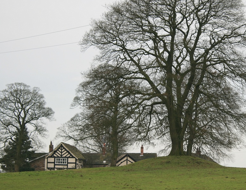 Broad Oak Farm