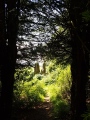 Click for full size image of The Bridestones (Cheshire) (PID:213709) The Bridestones (Cheshire)