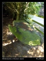 Click for full size image of The Bridestones (Cheshire) (PID:77597) The Bridestones (Cheshire)