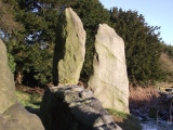 Click for full size image of The Bridestones (Cheshire) (PID:71526) The Bridestones (Cheshire)