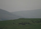 Click for full size image of Reed Hill (PID:100762) Reed Hill