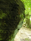 Wizard's Well - PID:32701