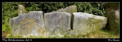 Click for full size image of The Bridestones (Cheshire) (PID:71418) The Bridestones (Cheshire)