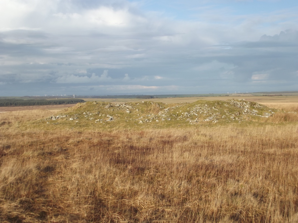 Showery Tor North Cairn 1 (PID:240884) Showery Tor North Cairn 1