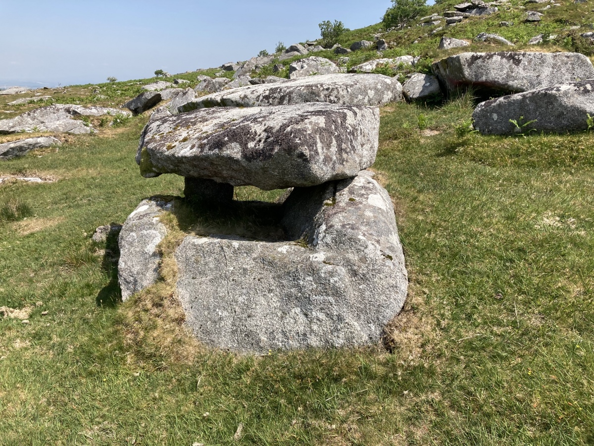 Kilmar Tor North Propped Stone