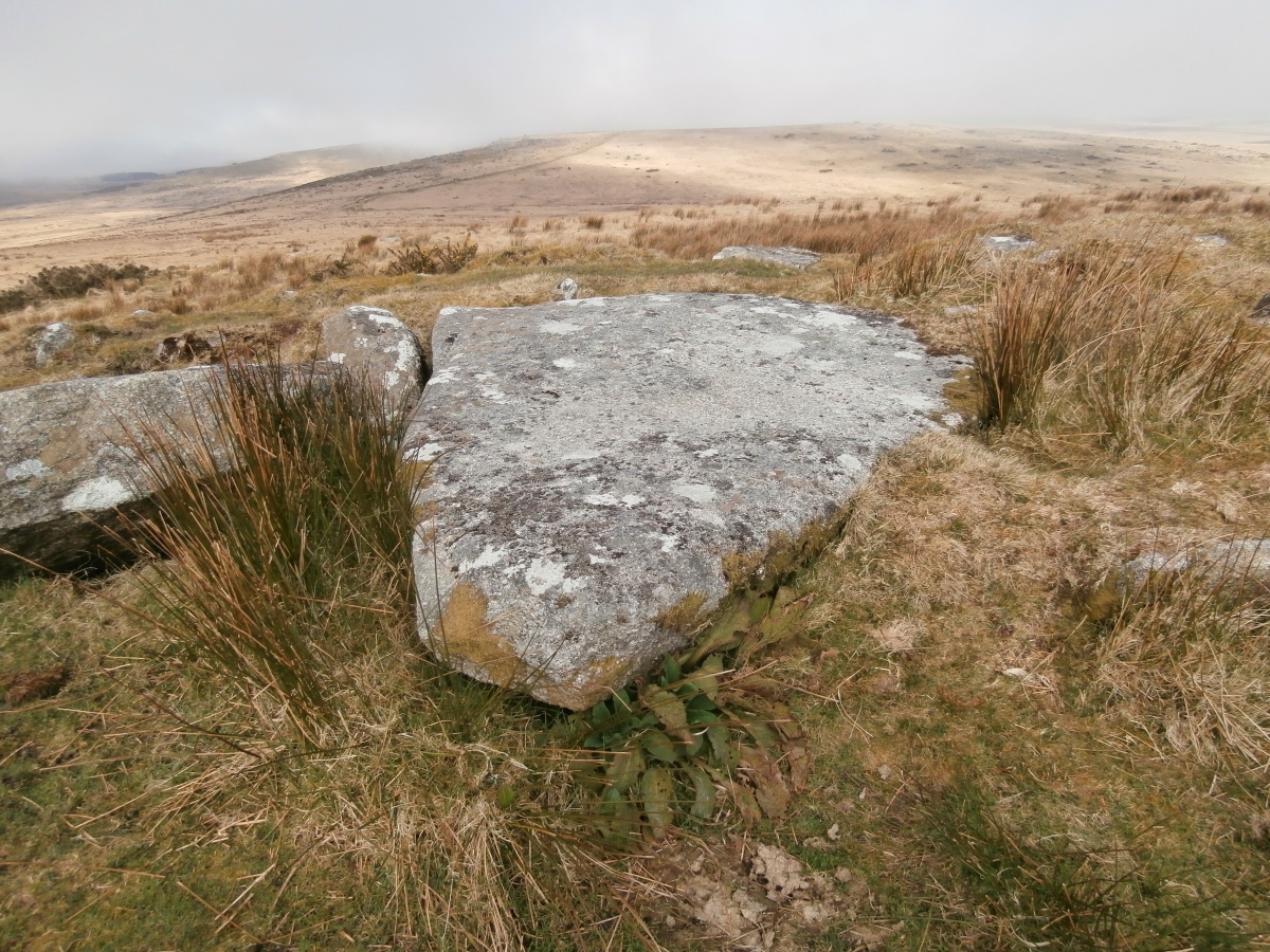 Tolborough Tor Cairn