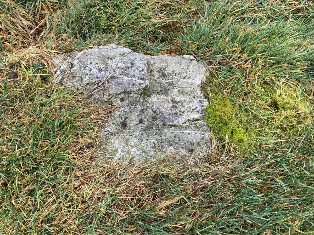 Click for full size image of Pawton Gate (PID:255100) Pawton Gate