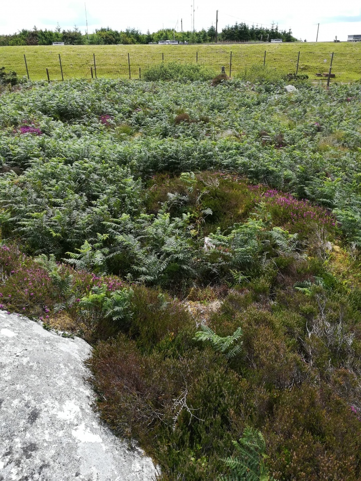 Carnmenellis Cairn, A small banked circle attached to the South of the Cairn