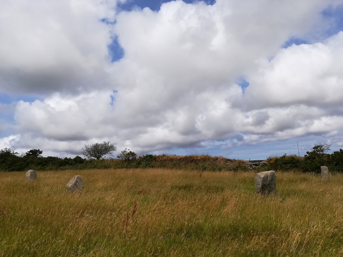 Wendron South