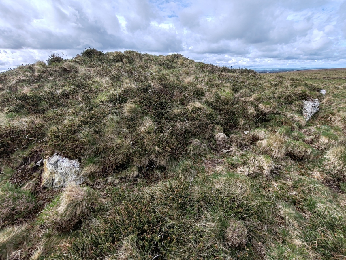 Click for full size image of Rosenannon Downs (PID:273447) Rosenannon Downs