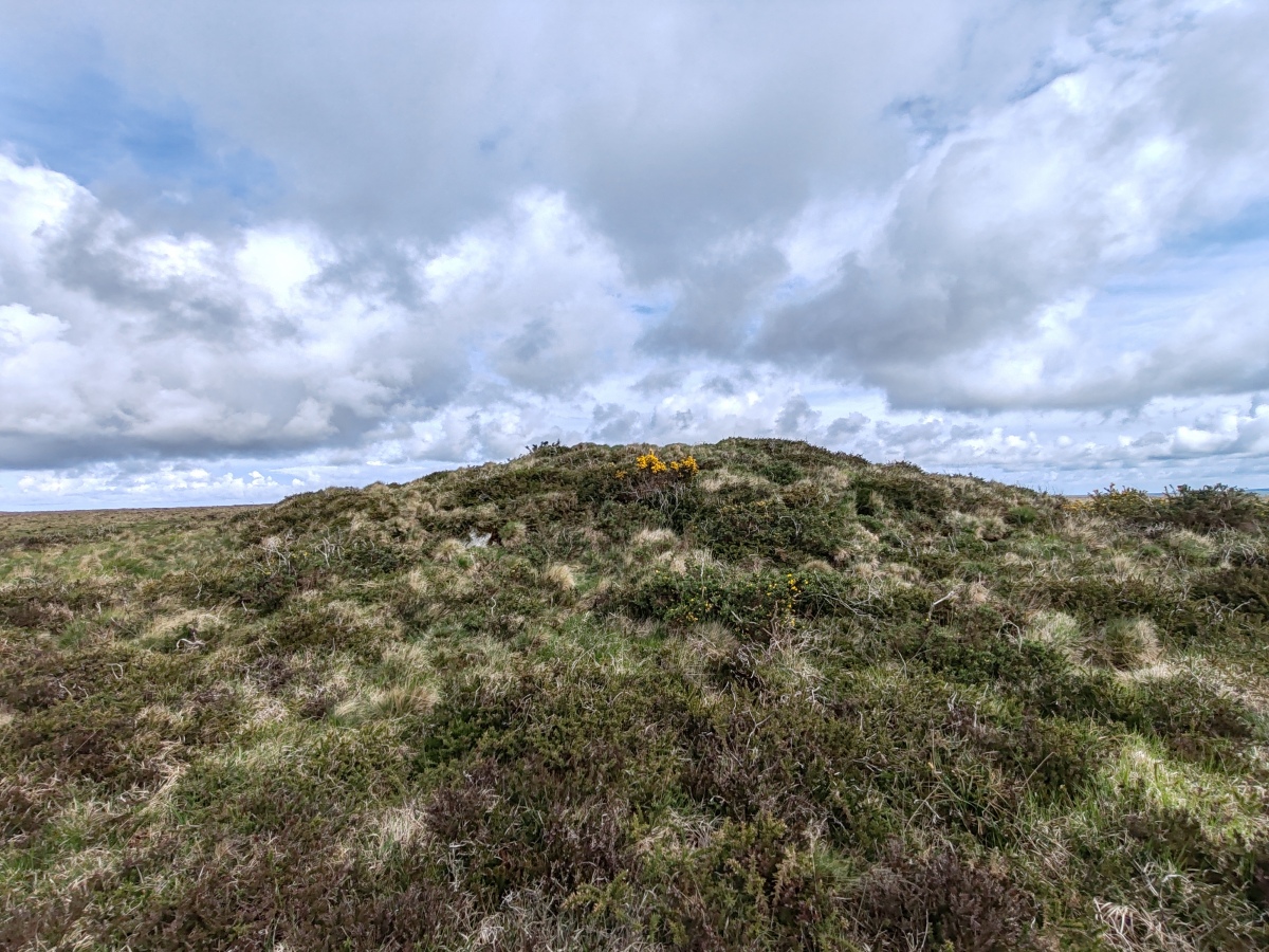 Click for full size image of Rosenannon Downs (PID:273448) Rosenannon Downs