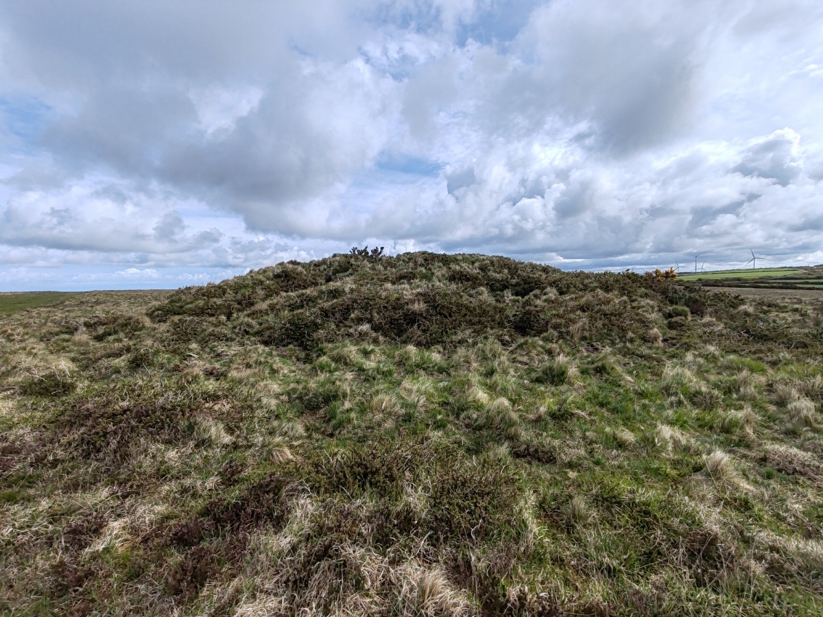 Click for full size image of Rosenannon Downs (PID:273449) Rosenannon Downs