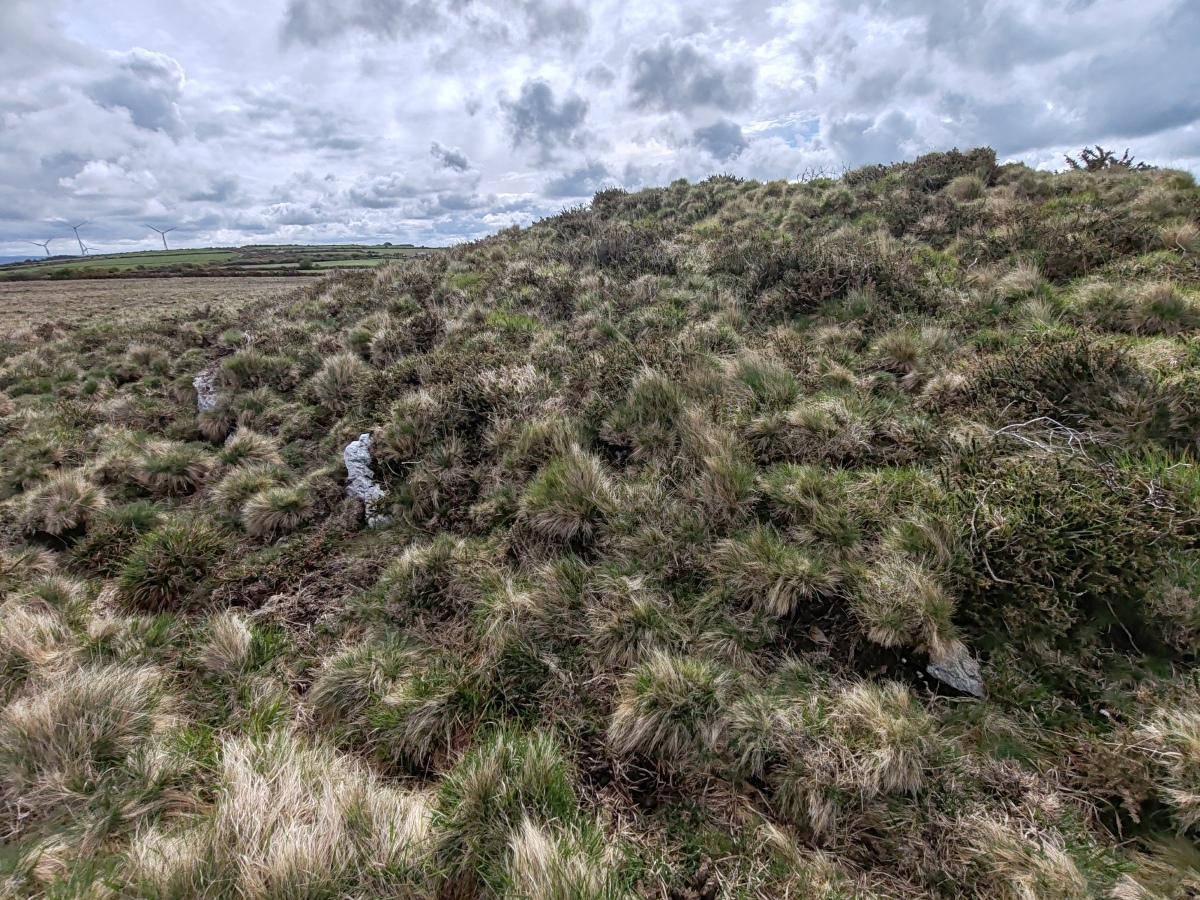 Click for full size image of Rosenannon Downs (PID:273450) Rosenannon Downs