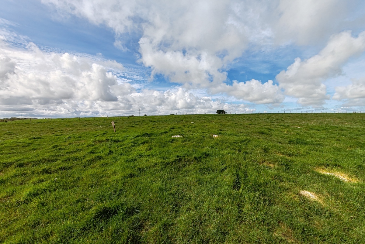 Click for full size image of Pawton Springs (PID:273472) Pawton Springs